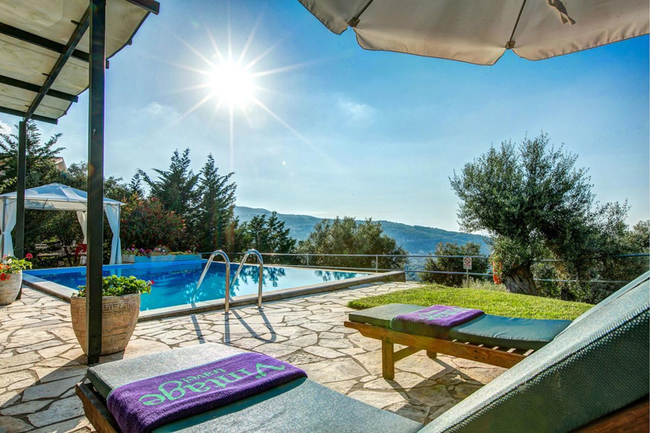 Gatsoulis Villas Apolpaina Extérieur photo